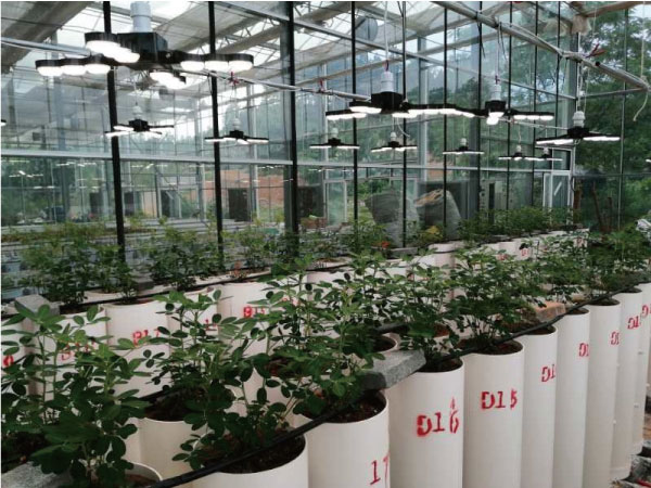 江西農(nóng)業(yè)大學(xué) 九江德安基地