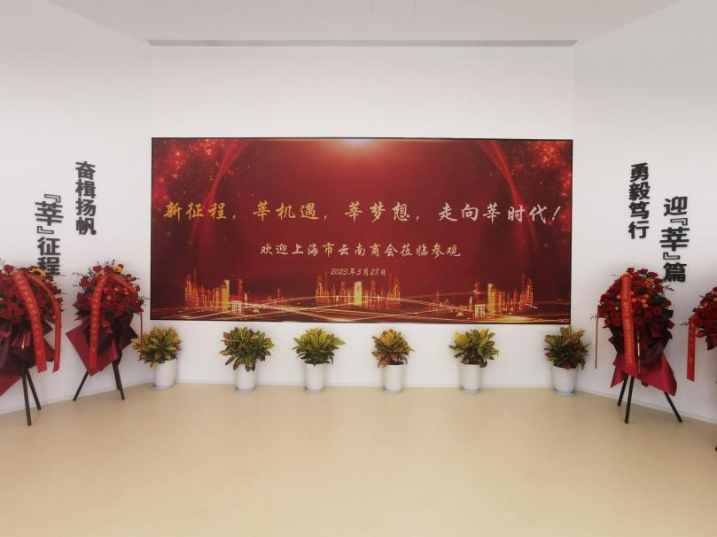 三思,智慧顯示,助力臨港,莘?？萍紙@,人才體系建設