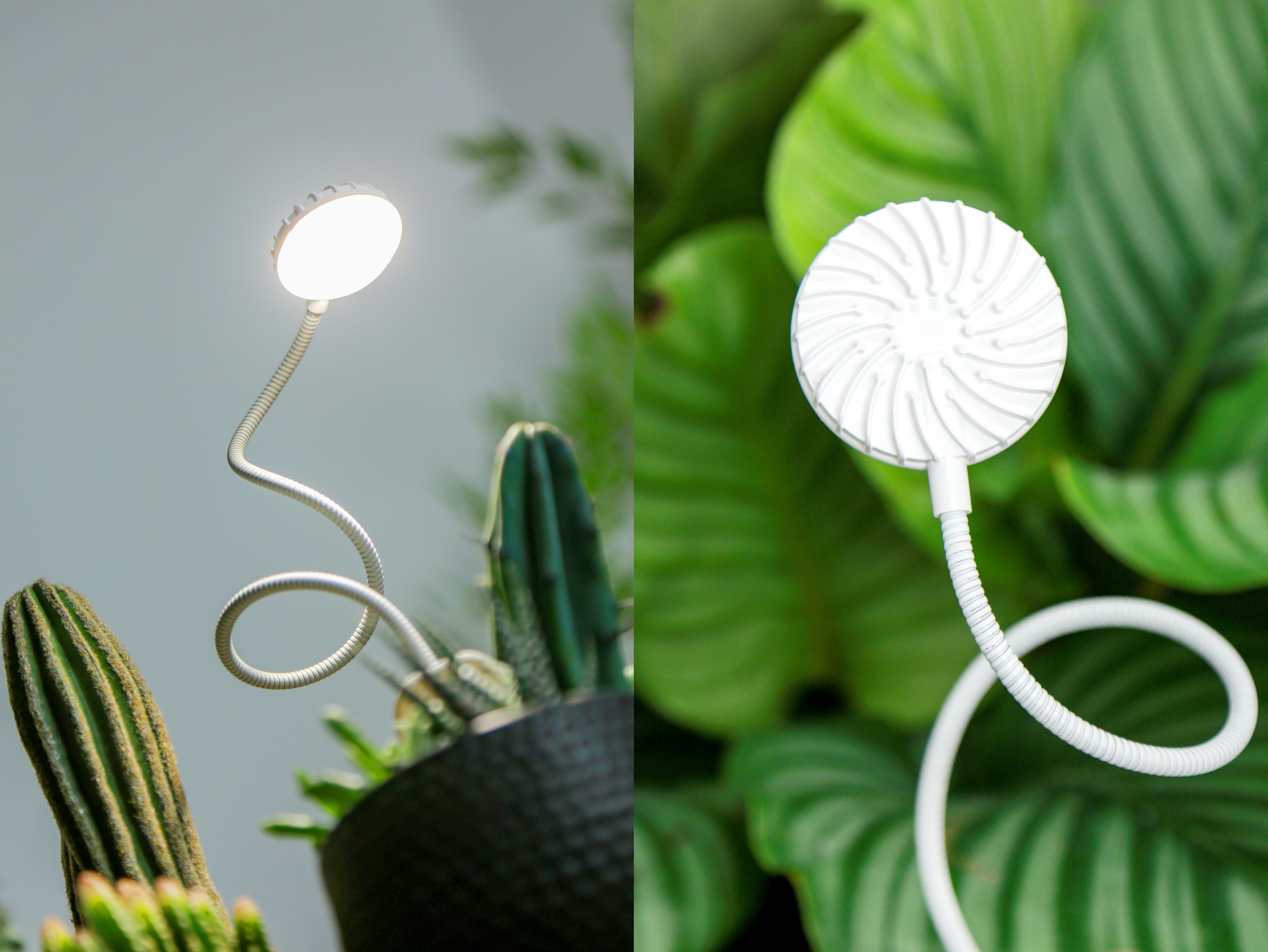 上海,LED屏,為何在海外,意外走紅